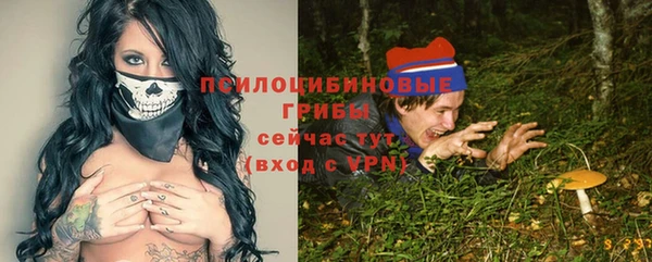 дурь Волоколамск