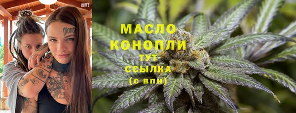 твердый Верхний Тагил