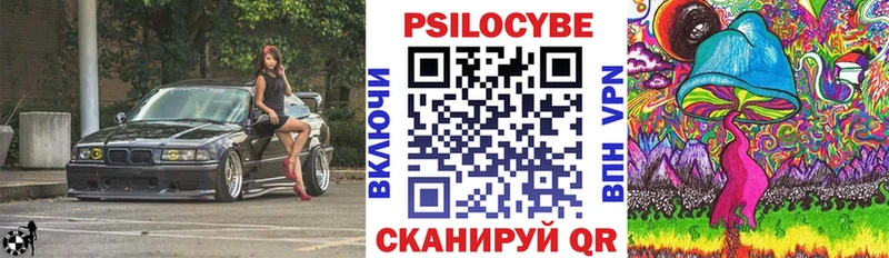 OMG ссылки Оханск Галлюциногенные грибы Psilocybine cubensis